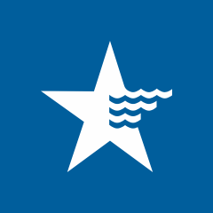 American Water Works