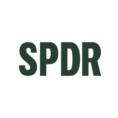 SPDR Dow Jones Global Real Estate (Dist)